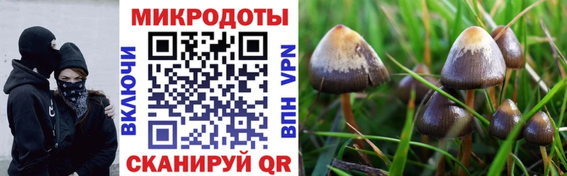 где продают   hydra зеркало  Галлюциногенные грибы GOLDEN TEACHER  Лабытнанги 